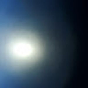 Meet your Posher, Phyllis